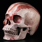 Huge 5 0  Picture Jasper Carved Skull  Super Realistic  Crystal Healing