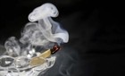 15 Palo Santo Wood   5 White Sage Smudge Sticks  Cleansing Negativity Removal