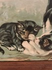 Vintage Panoramic Kitty Cat Picture - Print   Framed   Tabby  White  Orange