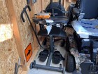 New  2023 Model  Never Used Altimate Easystand Evolv Large - Standing Frame