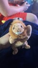 1996 Ty Beanie Baby - Roary The Lion - With Tags - Plush Beanbag Toy Animal