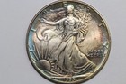 1995 Rainbow Toned American  1 Silver Eagle 1 Oz  Fine 999  se-1995-36 