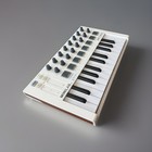 Arturia Minilab Mkii 25-key Midi Keyboard Controller Rotary Encoders Usb Pads