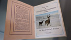 Vtg Original 1920s Color Yellowstone National Park Souvenir Booklet J l  Robbins