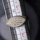 Very Rare Juadaea Holyland Seal Ring Hebrew Name Very Clear Antiquity W coa