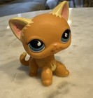 Lps No   Puzzle Shorthair Cat Blue Sportiest Eyes Littlest Pet Shop Hasbro Rare