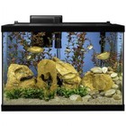 20 Gallon Complete Tropical Fish Tank Kit With Led Lighting For Freshwater Fish