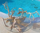 Set Of 3 Large Driftwood Manzanita Aquascape Aquarium Terariam 