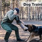 Pssopp Cowhide Dog Agitation Whip Dog Teaser Wand Dogs Training Whip Outdoor