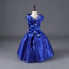 Custom Ball Gown Girls Princess Kids Dress Wedding Butterfly Big Flower Fancy Up