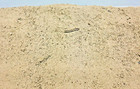 5 Lbs Aromatic Walnut Sawdust For Potpourri Or Plant Compost Top Grade Clean Cut