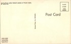 Saint Lucia Women In Native Foulard Costume st  Lucia Dukane Press Inc  Postcard