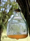 Glass Wasp Traps 2pk  Wasp Catchers For Garden And Home Use