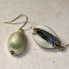 Gold Tone Natural Cowrie Shell Dangle Earrings  Ocean  Sea  S698