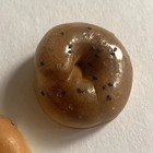 Vintage Realistic Food Bagel Fridge Magnets Poppyseed Novelty Funny Gag Gift