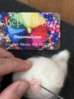 1 Lb White Wool Roving fun To Spin Into Yarn Or Needle  wet Felt 