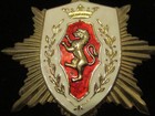 Vintage Heraldic Crest Crown Lion Coat Of Arms Red Enamel 2-3 4  Brooch Pendant