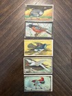 1910 T42 Sweet Caporal Cigarettes Birds Series 1 Tobacco Cards Lot Of 15 Vintage