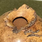 Vintage Signed  Frank White Turned Burl Cherry Wood Vase  