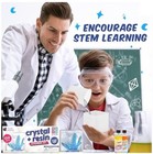 Purple Ladybug Crystal Growing Kit With Resin - Educational Science Kits For Kid