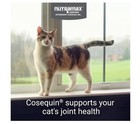  2 Pack  Nutramax Cosequin For Cats Joint Health Supplement  Soft Chews  60 Ct