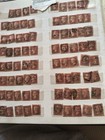 Huge Gb Qv Queen Victoria 1d Penny Red Collection - Packed 18-page Stockbook Lot