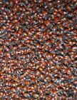 750 Premium Fresh 2025 Spring Seasons Live Ladybugs  Pre-order Now Think Fresh  