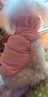 Pet Dog Winter Jacket Waterproof Puppy Cat Vest Warm Fleece Padded Coat Size M