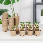 3 15  Seed Starter Pots  Organic Planting Peat Pots Seedling Pots Germination