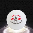 10-100pcs Professional 5-star Table Tennis Balls 40  Abs Ping Pong Training