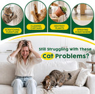 Cat Deterrent Spray - Natural Plant-based Anti-scratch Training Aid For Cats - H