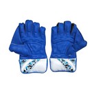 Practice Wicket Keeping Gloves Wicket Keeping Gloves  men  Blue 