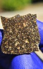 Nwa 18571 L3 15 Meteorite 3 261g Polished Part Slice Rare Primitive Chondrite