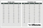 New Mizuno Volleyball Shoes Wave Momentum Pro  V1ga2540 51 Freeshipping  