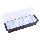 3 Tray Food Condiment Dispenser Bar Top Garnish Center Fruit Caddy Serving Box