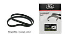 Ducati 748 916 996 851 888 Motor Timing Belt Tensioner Kit