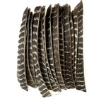 50x Archery Full Length Arrow Feathers Fletches Turkey Fletching Shaft Diy Rw Lw