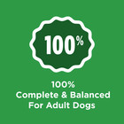   2 Pack   Purina Dog Chow Complete  Dry Dog Food   Real Chicken  18 5 Lb Bag