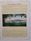 C1922 Souvenir Of Honolulu The Paradise Of The Pacific Postcard Prints stills