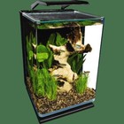 Led Aquarium Kit 5 Gal Hidden Filtration Glass Tank Day Night Lighting System Us