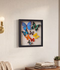 Blue Morpho Butterfly Collection  8 Real Butterflies Gallery Framed With Glass