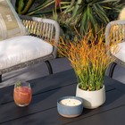 16  Artificial Pencil Cactus Dish Garden - Threshold