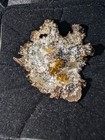 Historic Coloma 25 Gram Gold   Silver Crystallized Nugget California