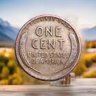 1919-d Better Lincoln Cent Wheat Penny    best Value On Ebay     Fast Free Shipping