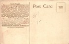 Scarlet Tanager  United States  Central America  South America  Postcard