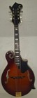 Michael Kelly Guitar Mandolin  p11029901 