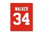 Compare To Herschel Walker College Football Photo Picture 8x10 11x14 16x20 Jz