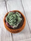 Crochet Handmade Desk Plant Stuffed Toy Yarn Decoration 