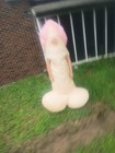 Inflatable Costume