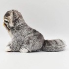 Hansa Bh7299 Hansa Manul Cat Puppy 31